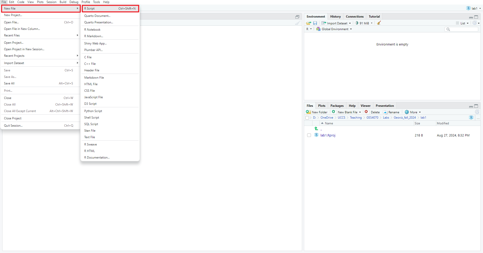 Figure 1.4: New script