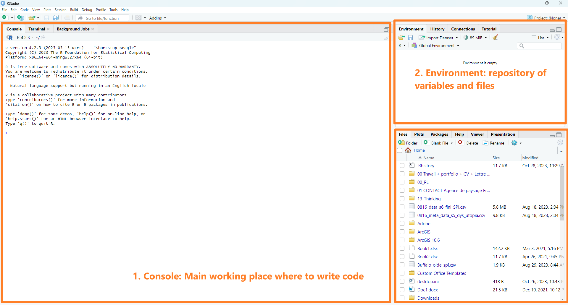 Figure 1.3: The interface of RStudio