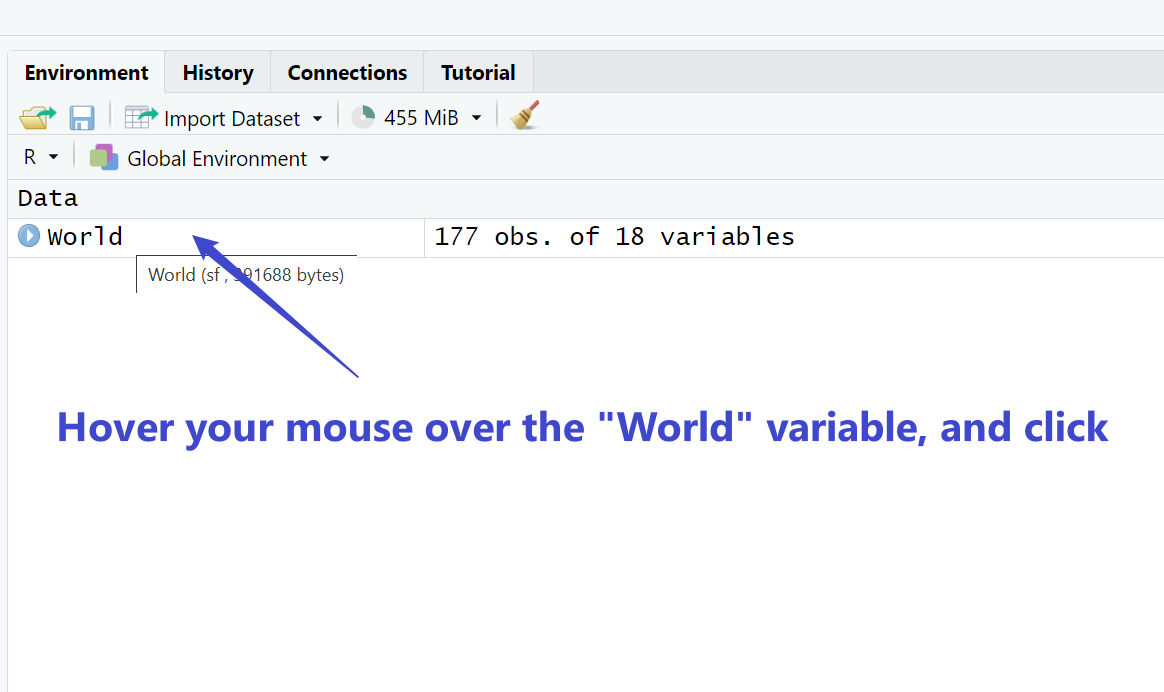 Figure 1.8: Variables in Global Environment