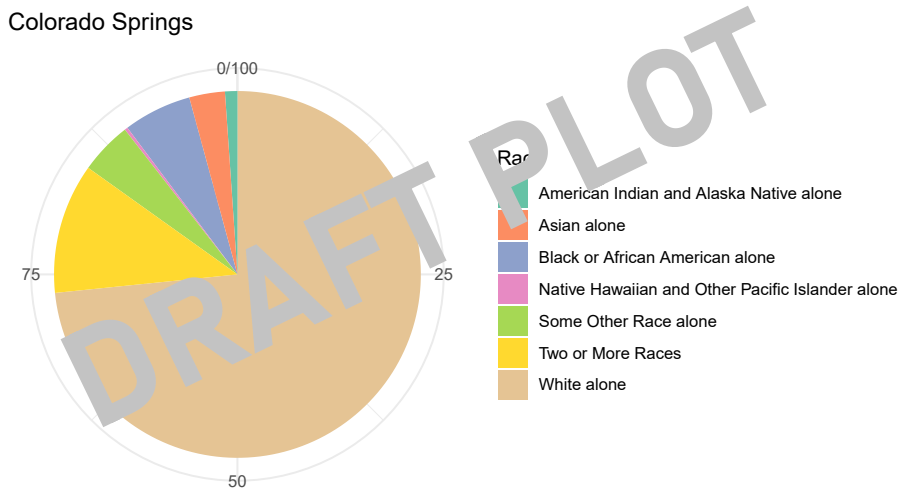 Figure 3.X: Racial Composition Pie Chart